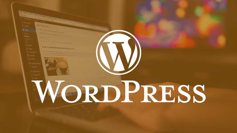 Introdução ao WordPress.com